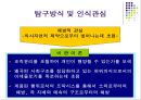 행동, 행위, 프락시스 개념의 행정윤리적 정향 13페이지