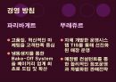 광고 기획서 Tous Les Jour [뚜레쥬르 회사소개] 5페이지