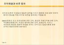 입법부 46페이지