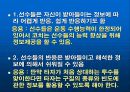 주의 집중 33페이지