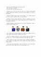 복장과 장신구 연출법 2페이지