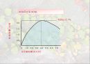 샘플링 검사 (Sampling Inspectaion).PPT자료 37페이지