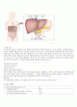 일반외과 (general surgery) case 성인간호학임상실습 - 간종양 (liver cell carcinoma) 3페이지
