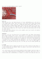 일반외과 (general surgery) case 성인간호학임상실습 - 간종양 (liver cell carcinoma) 8페이지