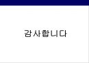 The next generation of WWW.WEB 2.0 (웹 2.0).PPT자료 29페이지