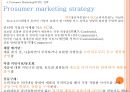 Web 2.0시대에 미래 소비자를사로잡기위한 E-MPR 전략 9페이지