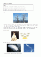 내 삶속의 색(2주차 ~ 14주차) 요약 및 성찰 [학점 A+] 51페이지