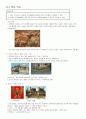 내 삶속의 색(2주차 ~ 14주차) 요약 및 성찰 [학점 A+] 58페이지