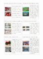 내 삶속의 색(2주차 ~ 14주차) 요약 및 성찰 [학점 A+] 62페이지