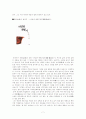 심근문학과 선봉문학 - 장청지, 한소공, 수통, 위화 7페이지