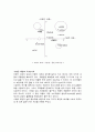 Nike 마케팅  14페이지