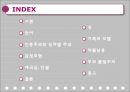 미디어와 가치.PPT자료 2페이지