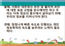 개인정보 수집, 활용으로 인한 프라이버시 침해, 감시 실태.ppt 15페이지
