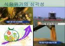 식량위기 심각성 원인, 대처방안, GMO 문제점 발표 3페이지