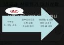 식량위기 심각성 원인, 대처방안, GMO 문제점 발표 10페이지