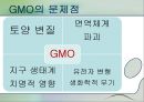 식량위기 심각성 원인, 대처방안, GMO 문제점 발표 11페이지