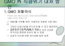 식량위기 심각성 원인, 대처방안, GMO 문제점 발표 12페이지