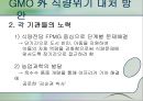 식량위기 심각성 원인, 대처방안, GMO 문제점 발표 13페이지
