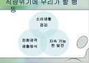 식량위기 심각성 원인, 대처방안, GMO 문제점 발표 15페이지