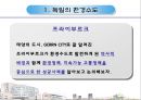 독일의 환경  3페이지
