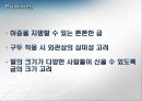 [입문공학설계] 굽 조절 구두 설계.ppt 10페이지