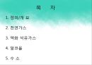 내연기관 연료의 특성 - 대체연료 2페이지