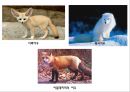[일반생물학] 동물계의 분류와 계통 2페이지