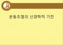 [기초치료학] 운동조절의 신경학적 기전 1페이지