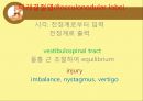 [기초치료학] 운동조절의 신경학적 기전 29페이지