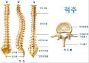 [물리치료] 척추에 대한 질환 2페이지