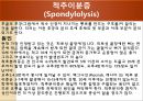 [물리치료] 척추에 대한 질환 14페이지