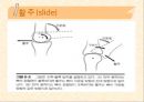 [운동치료] 말초관절 유동술[Peripheral Joint Mobilization] 12페이지