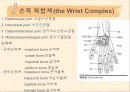 [운동치료] 말초관절 유동술[Peripheral Joint Mobilization] 35페이지