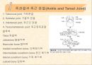 [운동치료] 말초관절 유동술[Peripheral Joint Mobilization] 37페이지