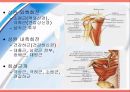 [운동치료] 견관절 (Shoulder Joint) 해부학적 구조와 손상후 재활 8페이지