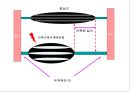 [물리치료] 자가 마사지방법 (Self massage).ppt 3페이지