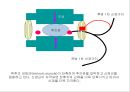 [물리치료] 자가 마사지방법 (Self massage).ppt 15페이지