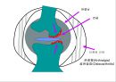 [물리치료] 자가 마사지방법 (Self massage).ppt 16페이지