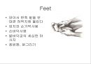 [물리치료] 자가 마사지방법 (Self massage).ppt 30페이지