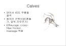 [물리치료] 자가 마사지방법 (Self massage).ppt 31페이지