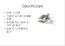 [물리치료] 자가 마사지방법 (Self massage).ppt 33페이지