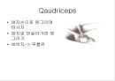 [물리치료] 자가 마사지방법 (Self massage).ppt 35페이지