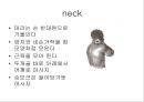 [물리치료] 자가 마사지방법 (Self massage).ppt 46페이지