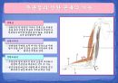 [운동치료학] 주관절과 전완복합체.ppt 9페이지