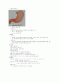 위암 간호과정 케이스 스터디 2페이지