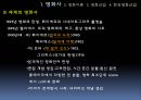 영화란 무엇인가 4페이지