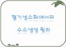 호기성 혐기성 발효조  7페이지