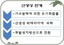 호기성 혐기성 발효조  12페이지
