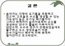 호기성 혐기성 발효조  20페이지