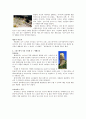 그리스에 관하여 9페이지